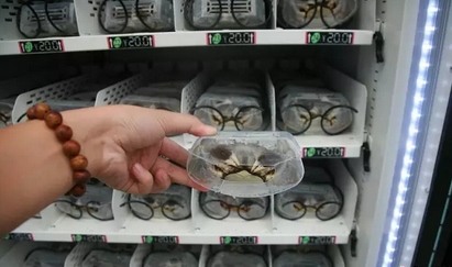 腾博会官网 - 诚信为本,专业效劳!